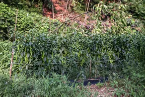 Youngwol River Park - Image 5