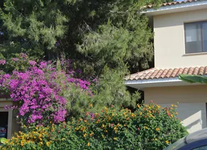 Regina's Exclusive Villas - Image 2