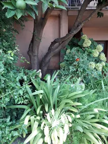Guest House Roza - Image 5