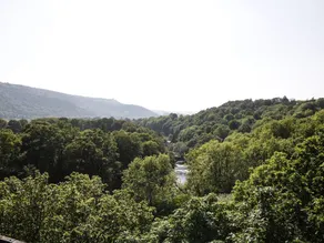 Preswylfa - Image 5