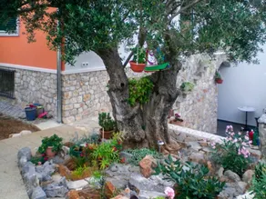2 bedrooms house with sea view furnished terrace and wifi at Vinisce - Image 2