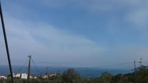 Paradies - Image 5