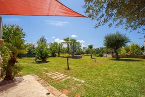 Taparera - Image 4