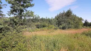 Strandlyst - Image 4