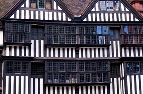 Veeve - Red Lion Square - Image 4
