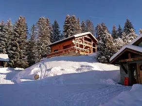 Chalet in Les Gets with Ski-In/Ski-Out Access - Image 5