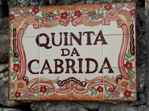Quinta Da Cabrida Douro - Image 3