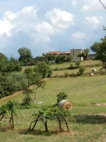 Poggio a Poppi - Image 2