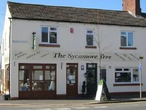 The Sycamore Tree - Image 3