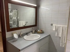 A Beautiful Aruba Salina Cerca Villa - Image 5