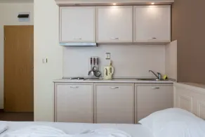 Quiet Studio with Kitchen & Balcony - Image 2