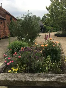 The Orangery Bed & Breakfast - Image 5