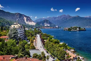 Apartment Amore - Muffy- Phyche - Image 3