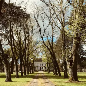 Château Rouge 47 - Image 3