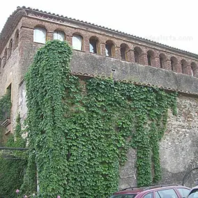 Mas Del Burga - Image 3