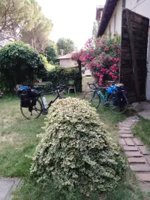B&b23 - Image 3