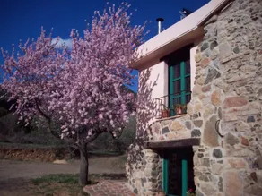Mas Olivella - Image 4