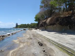North Borneo Biostation Resort - Image 5