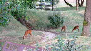 D'une Autre Nature - Image 3