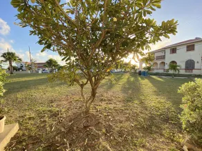 Searocks Beach Apartment - Image 5