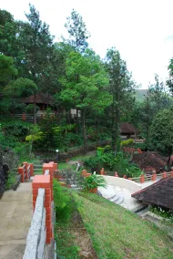Paradisa Plantation Retreat - Image 2