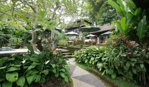 Sayan Terrace Resort - Image 5