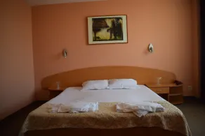 Gergana Balneohotel - Image 5