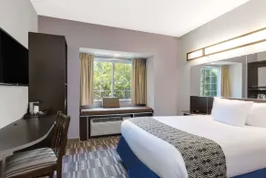 Microtel Inn & Suites by Wyndham Tuscaloosa Near University - Image 3