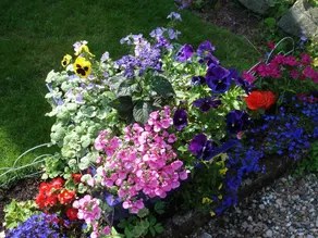 The Cherries Bed and Breakfast - Image 4