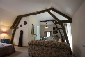 Château de la Frégeolière - Image 5