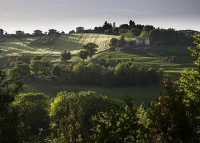 Villa Sinfonia - Villa Sinfonia - Image 4