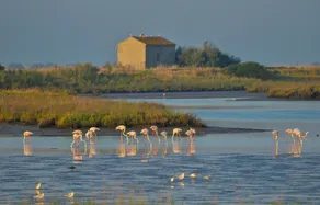San Remo - Image 5