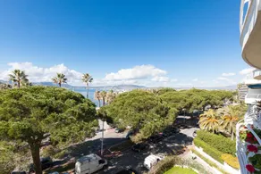 Croisette1 - Image 4