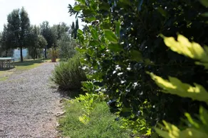 Agriturismo I Cascetti - Image 4