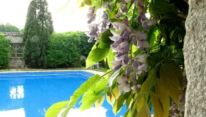 The Manor Country House hotel - Image 3