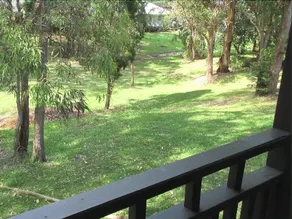 Eucalypt Deluxe Family Resort Cottage - Image 3