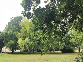 Domaine De La Cour Des Lys - Image 5