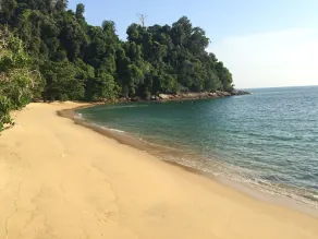 Monster Homes Pangkor - Image 5