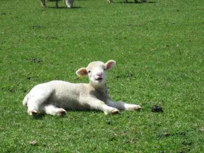 Yorkshire Farm Hotel - Image 4