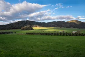 Dreaming Of The Buckland - Image 3