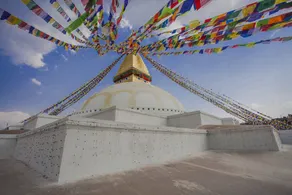 OYO 142 CO International Guest House - Image 3