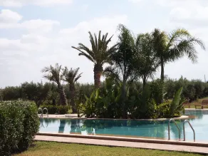 Dar Basma - Image 2