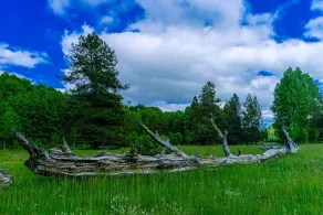 Sun Mountain Ranch BunkHouse - Image 3