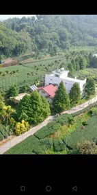 Doris B&B - Image 5