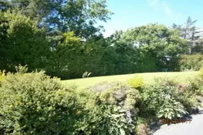 Gowlaun Bed and Breakfast - Image 5
