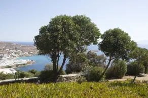Psarrou villa for 10 guests, stunning sea views - Image 3