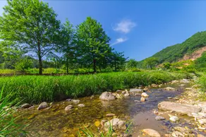 Ananjina Pension Yangpyeong - Image 5
