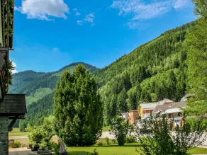 Talboden Donnersbachwald - Image 3
