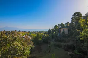 V Resorts Ginseng Kaafal Cottage - Image 3