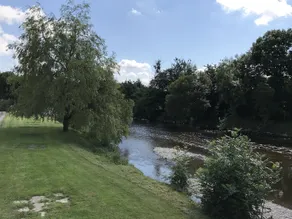 The Cothi Bridge - Image 4